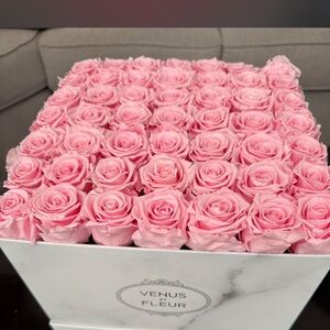 Venus Et Fleur Pink Roses in Elegant Box